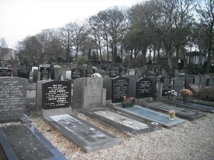 1.11.2011 cmentarz w Harlingenie - 100_2313.JPG
