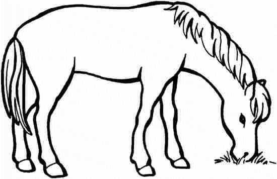 Konie, Król Lew - coloriage-cheval-44_gif.jpg