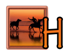 SHORELINE HORSE RIDE - H.png