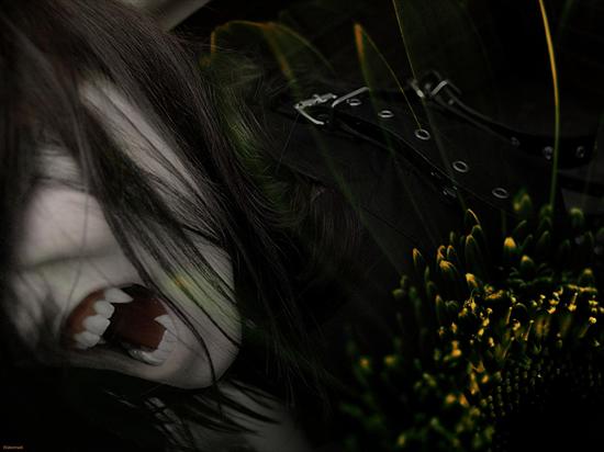Kobiety wampiry - wampirr.jpg