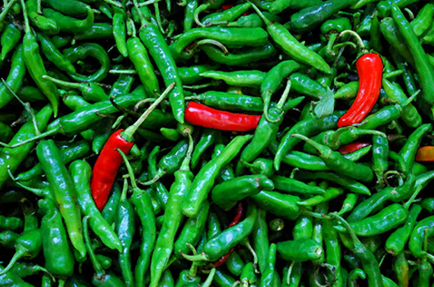 Moja galeria foto - Red Hot Chilly Peppers.jpg