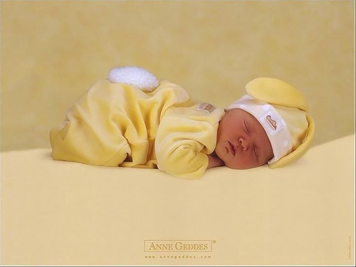 Dzieci Anny Geddes zapach_wspomnien - Anne Geddes Photography 114.bmp