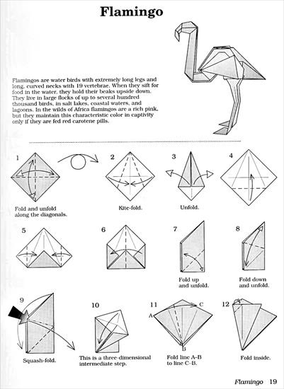 African Animalsin Origami - AfricanAnimalsinOrigami012.jpg