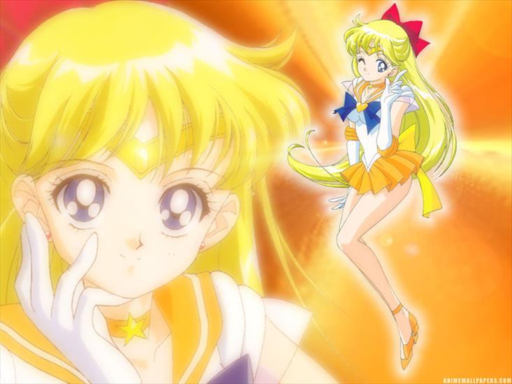 Sailor Moon - sailorT005ver11.jpg
