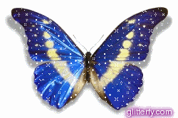  GIFY MOTYLE - butterfly3.gif