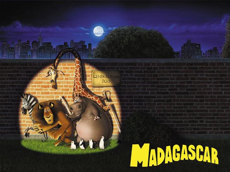 Madagaskar - madagaskar 9.jpg