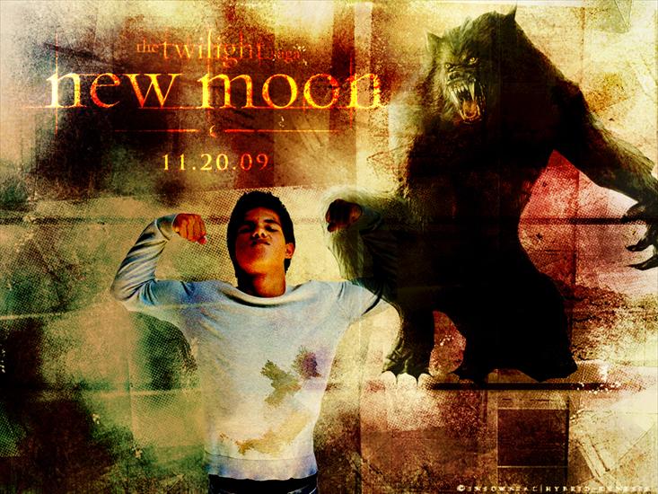 Zmierzch - New-Moon-Jacob-Wallpaper-twilight-series-5053702-1024-768.jpg