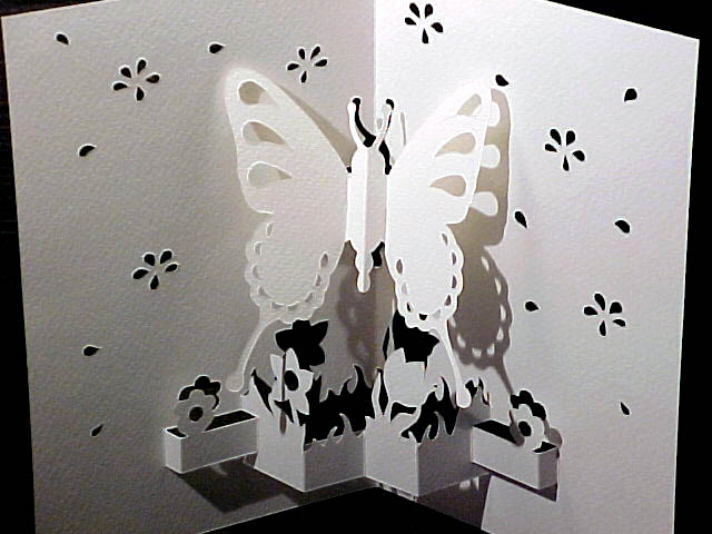 letnie - butterfly-white1.jpg