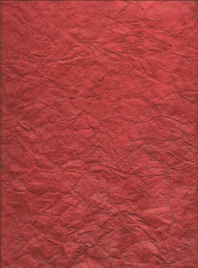 Backgrounds - 30 - Red wrinkled paper.jpg