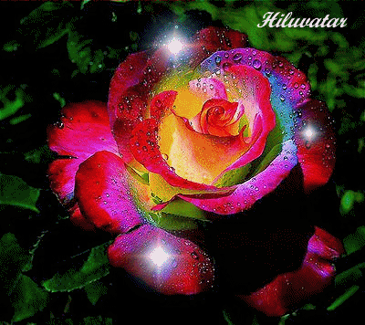 róże - untitled.bmp