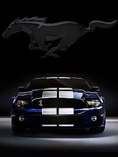 Galeria - Ford_Mustang_Shelby.jpg