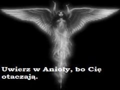 anioły - 19082895.jpg