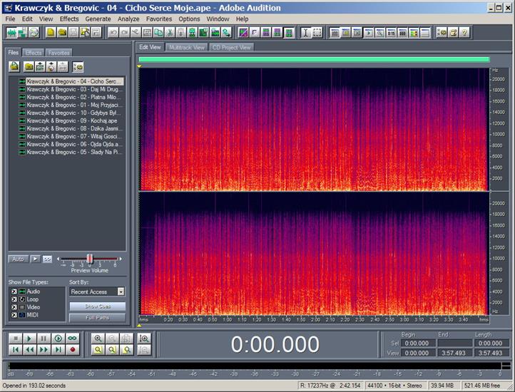 Adobe Audition spectrum - Track 04.jpg