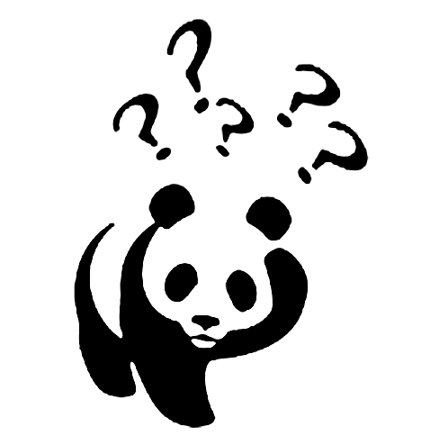 Pandas - 56.jpg