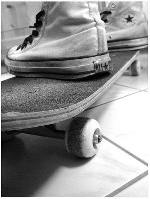 02 - Skateboard_by_metallicatrollet.jpg