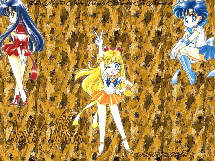 Tapety - Sailor Moon Manga 31.jpg