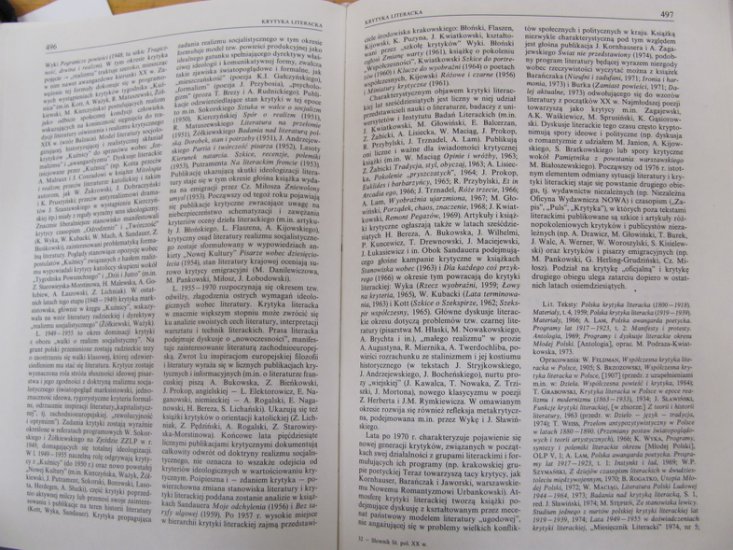 słownik XIX wieku - Krytyka lit. 5.JPG