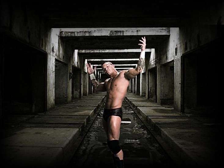 Randy Orton - ortonwall.jpg