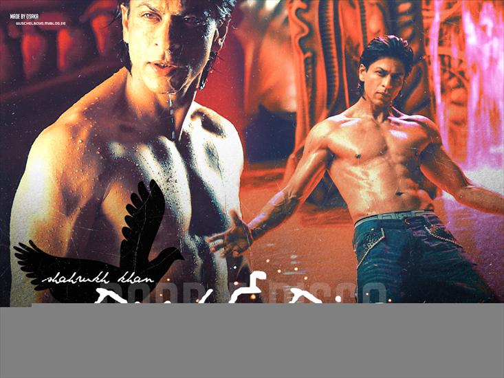 Shahrukh Khan - jciyoidxxh9.jpg