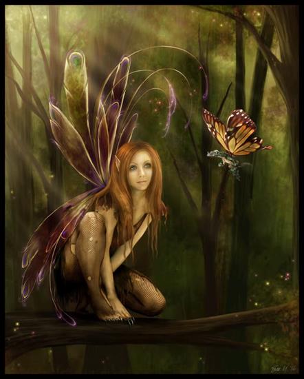ELFY I - Fairyanddragonbutterfly.jpg
