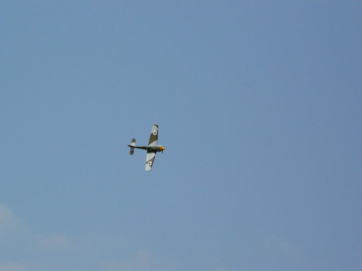 Fotografie mch RC model - Model Focke-Wulf FW-190A 3.JPG