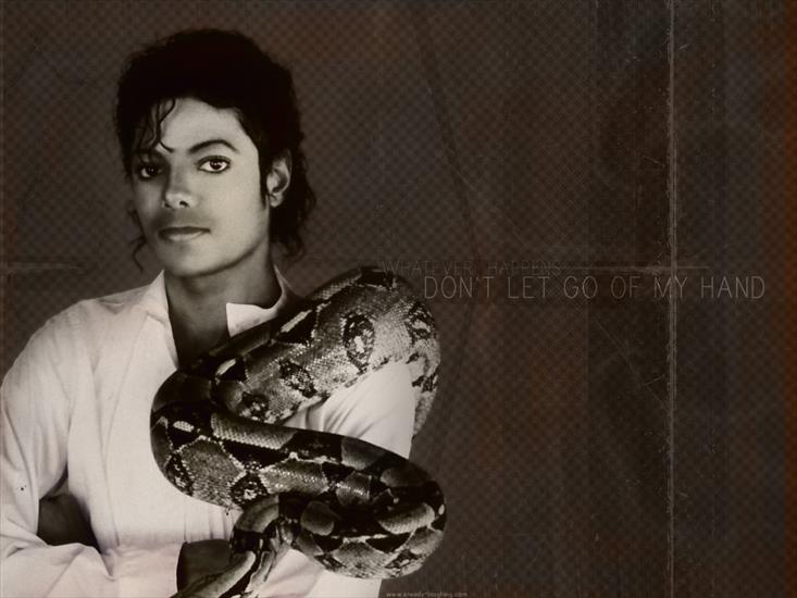 Michael Jackson - michael_jackson_27.jpg