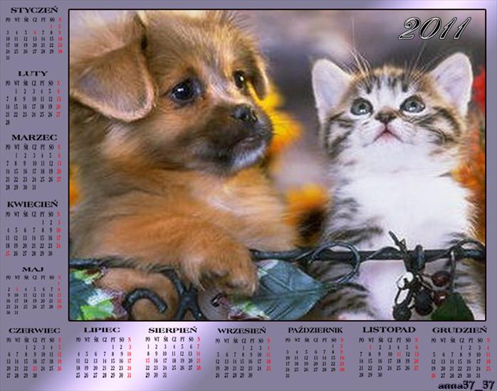 Kalendarze 2011 - anna37_37 31.png