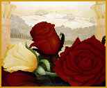 Róża  Lucryssa - sau-04.jpg