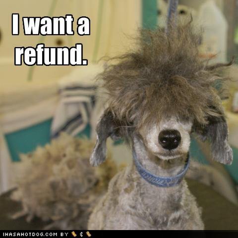 zwierzyniec - funny-dog-pictures-dog-wants-a-refund-on-his-haircut.jpg