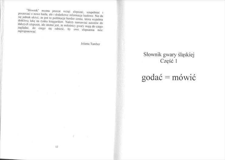 SŁOWNIK GWARY ŚLĄSKIEJ - 12.jpg