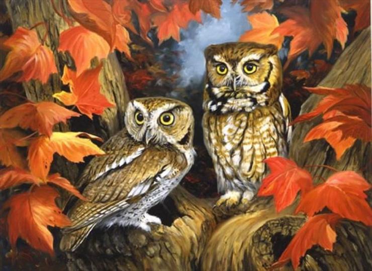 Linda Picken - Fall Screech Owls_jpg.jpg
