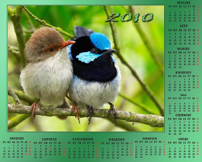 Kalendarze z ptakami - Bez nazwy 431.jpg
