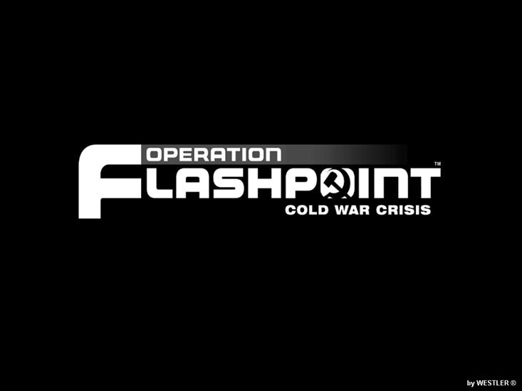 Tapety - Operation_Flashpoint_1.jpg