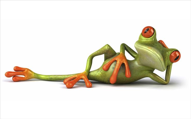 Śmieszna  Żaba - Funny Frog - wallcate.com 141.jpg