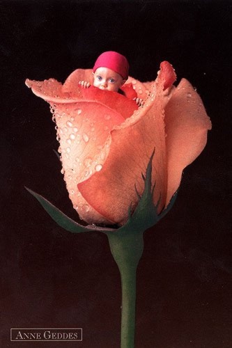 Tapety i Grafika - Anne Geddes 012.jpg