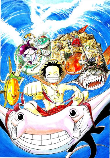 One Piece - Color Walk 3 - ColorWalk3_061.jpg