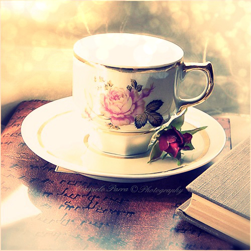 with Books n Flowers sometimes - cup_with_books_and_flowers_etc 10.jpg