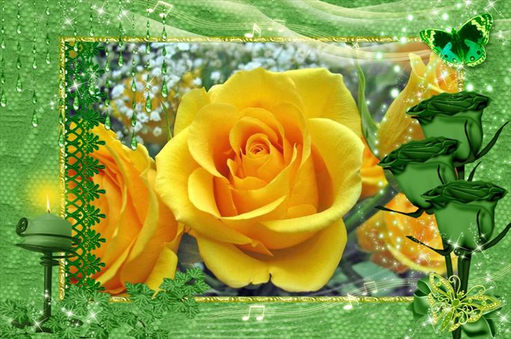 RÓZE - single-yellow-rose.jpg