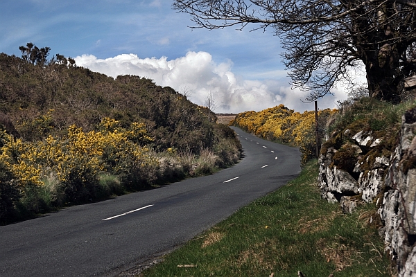 FOTO IRLANDIA GÓRY WICKLOW - 02.jpg