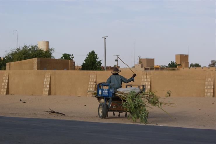 Mali - One_man_and_his_donkey,_Timbuktu,_Mali.jpg