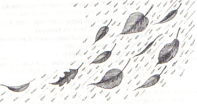 -JESIEŃ-KOLOROWANKI - liście w deszczu-kol.jpg