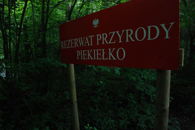 ciekawe oraz piękne miejsca w Polsce - rezerwat.jpg
