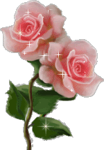 kwiaty - Pink_rose.gif