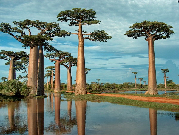  Madagaskar - 61.jpg