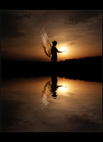 anioły - angel_wings1.jpg
