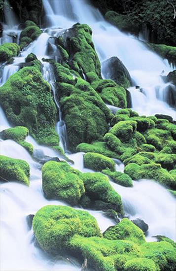 Waterfalls - 14 - 42.jpg