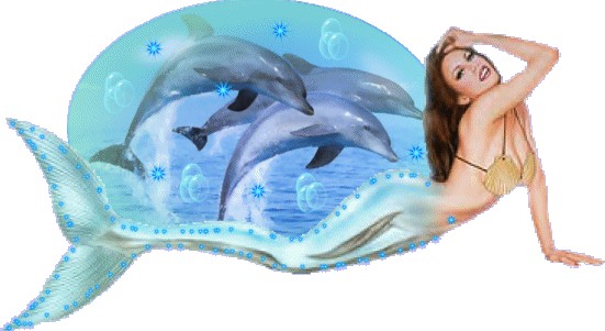 Delfiny i Orki - mediumkahi2i5649218fba6d4f908474.jpg