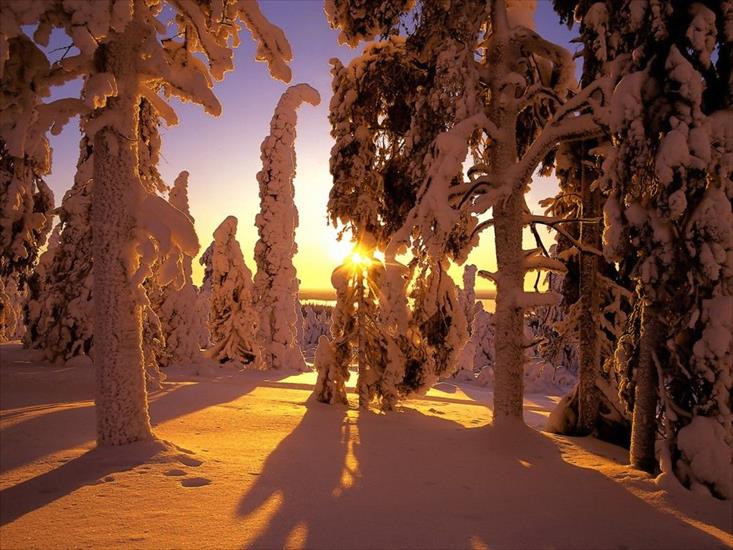 Krajobrazy - Snow Covered Forest, Finland - 16.jpg