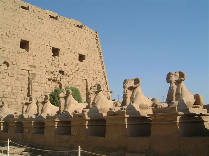 Egipt - aleja sfinksów.jpg