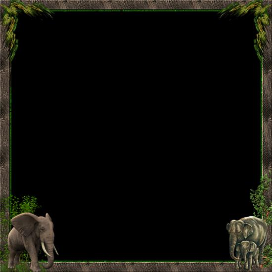 Ramki_animals - frame Beauty of the wild7.png